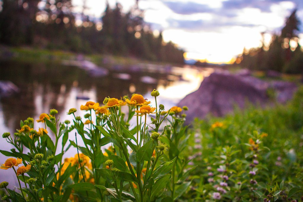 The Resort at Paws Up takes part in a number of conservation efforts, including habitat improvement along Elk Creek. Luxury hospitality leaders are taking a role in leading land conservation efforts.